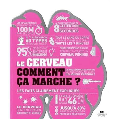 Le cerveau, comment ça marche ?