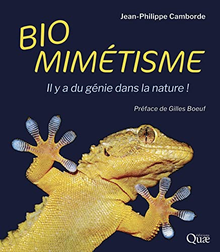 vignette